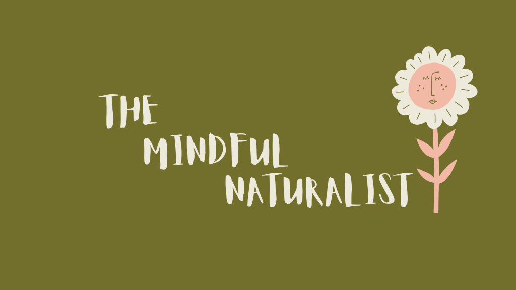 Hello from The Mindful&nbsp;Naturalist