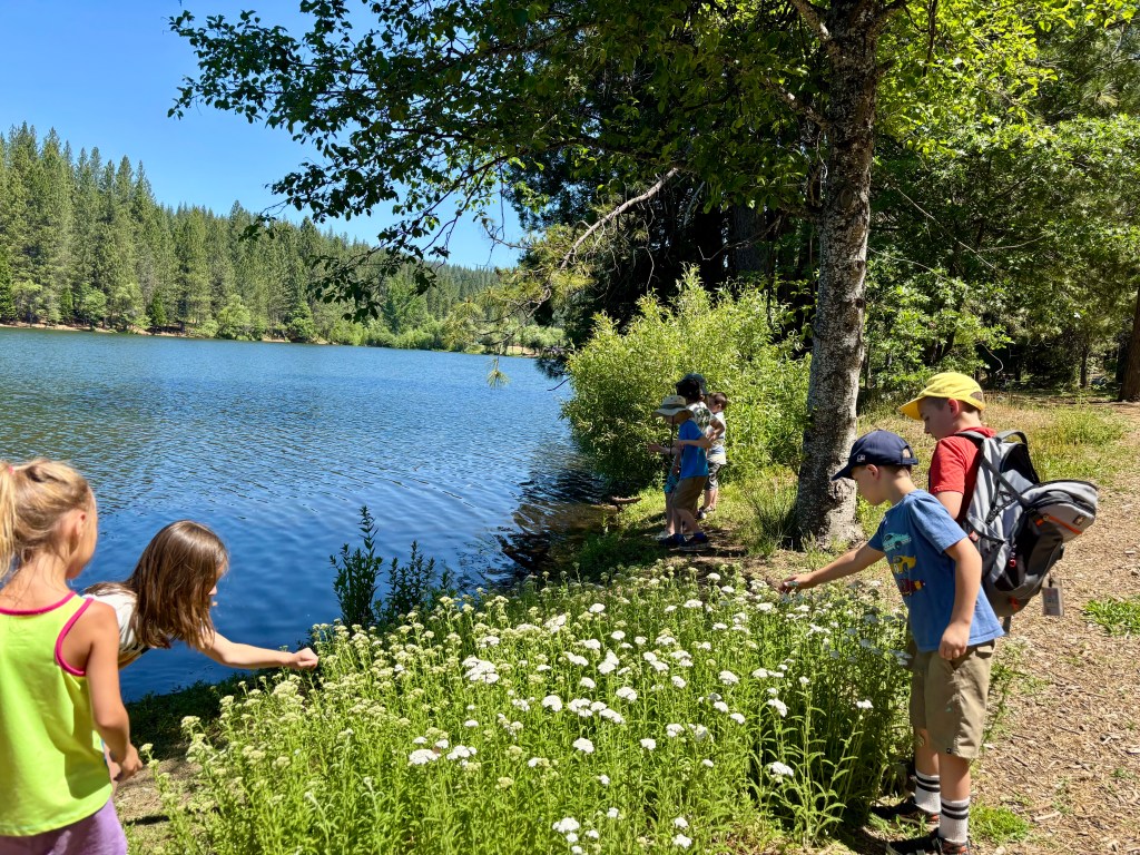 The Power of&nbsp;Play