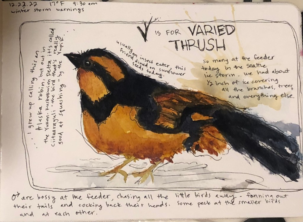 Getting Started with Nature&nbsp;Journaling