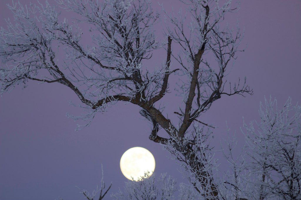 Go on a Night Walk with the Cold&nbsp;Moon