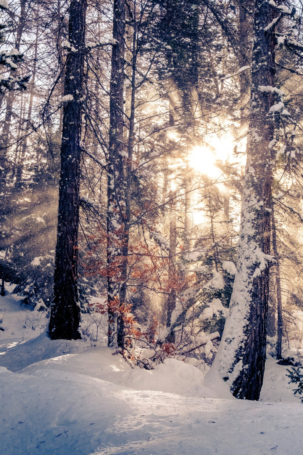 The Journey of the Earth: Explaining the&nbsp;Solstice